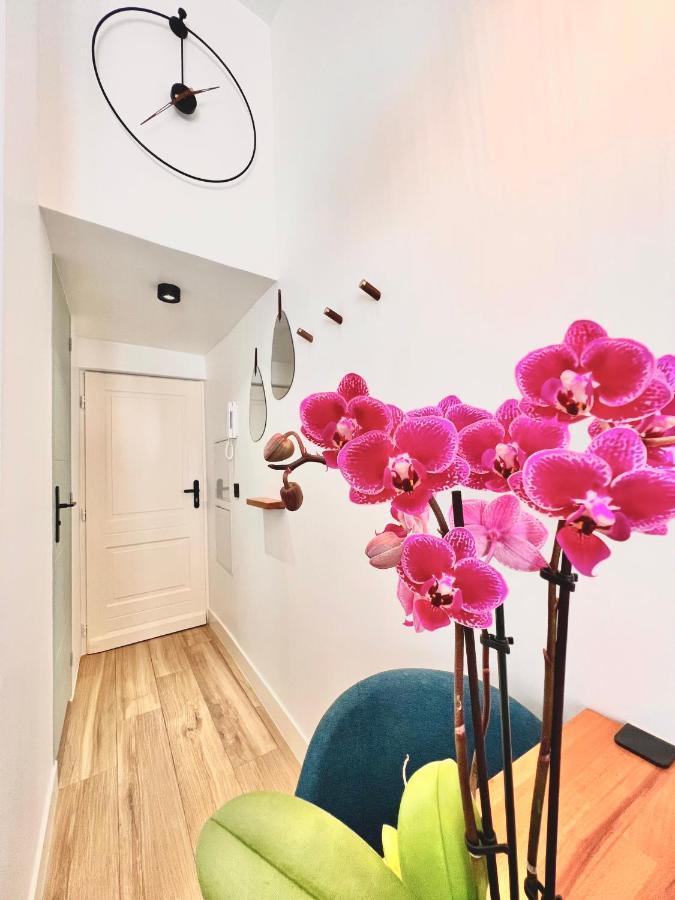 Ferienwohnung DUPLEX LE GESÙ - HEART OF OLD TOWN - MODERN - WiFi - CLIM Nizza Exterior foto